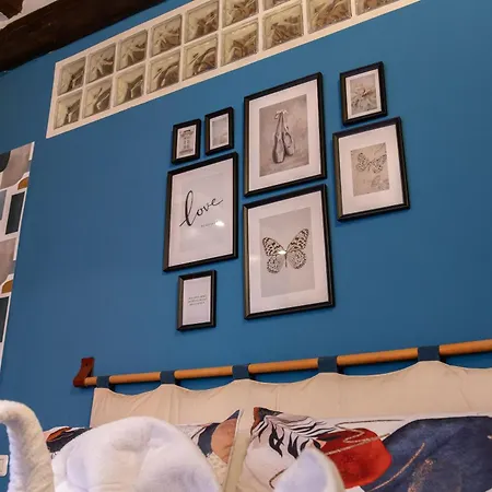 Daire Comfort - Freedom Industrial *