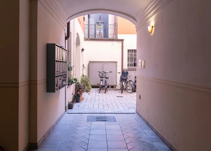 Comfort - Freedom Industrial *